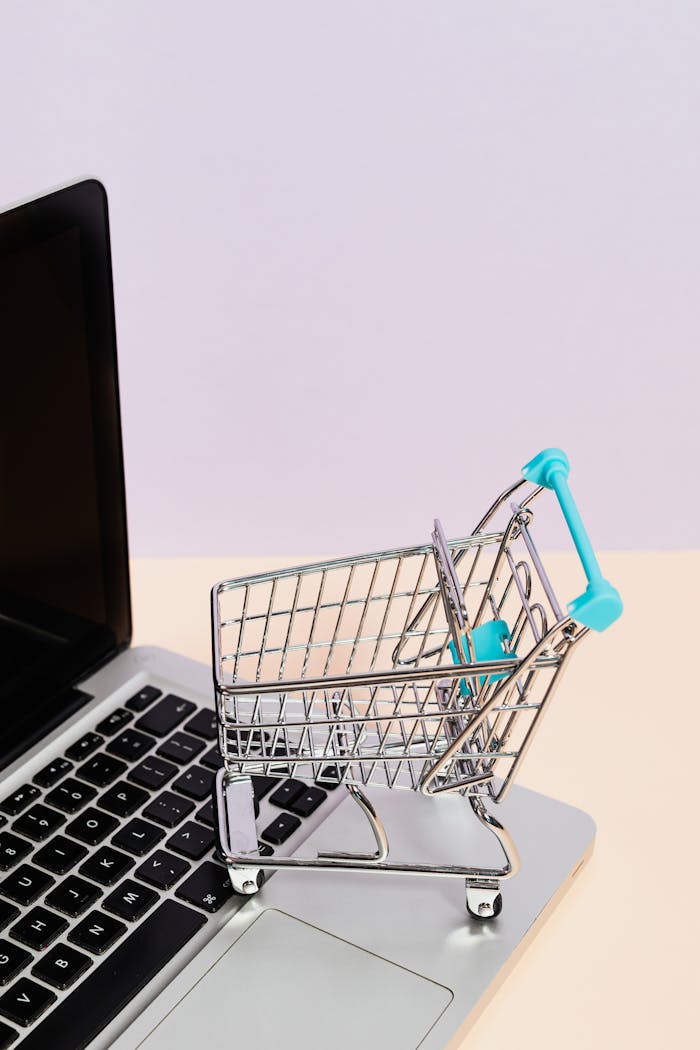 services-06 Mini shopping cart on a laptop symbolizes online shopping and e-commerce themes.